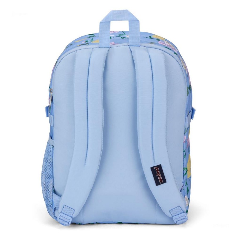 Jansport Main Campus Laptop Sırt Çantası Mavi Renkli | TR3185XF