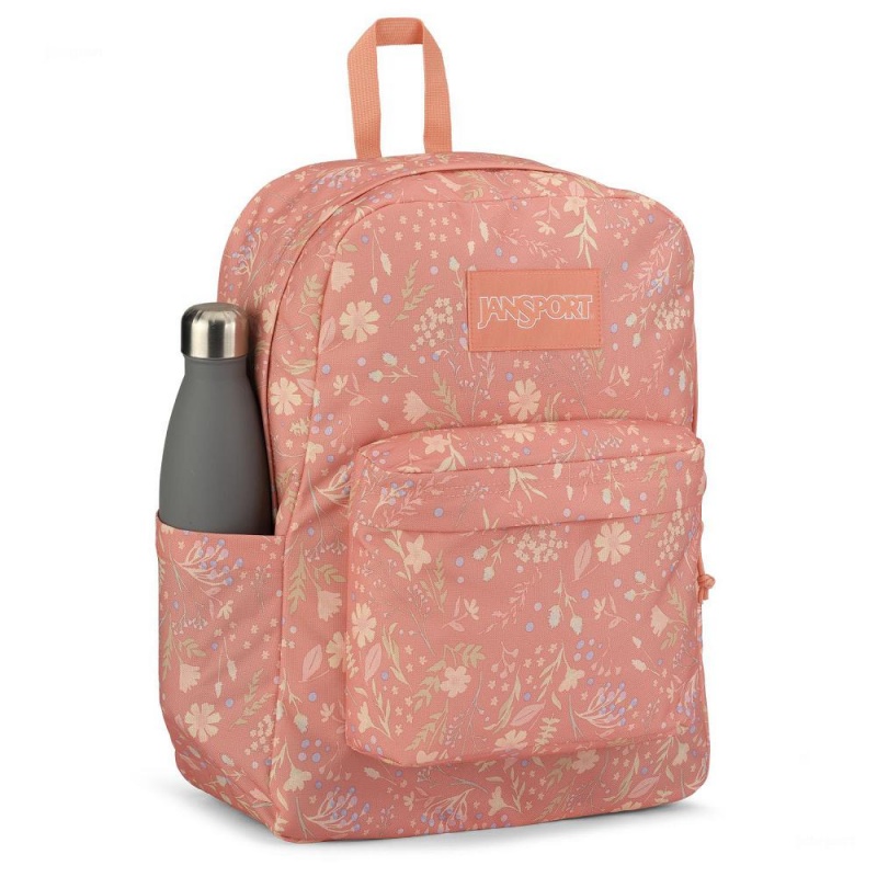 Jansport SuperBreak® Plus Laptop Sırt Çantası Pembe | TR3240AP